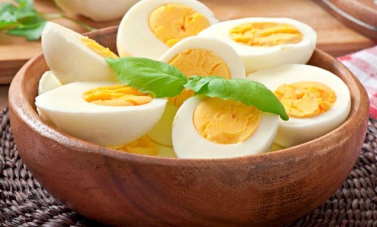 تقویت حافظه با تخم مرغ | در هفته چند تخم مرغ بخوریم؟