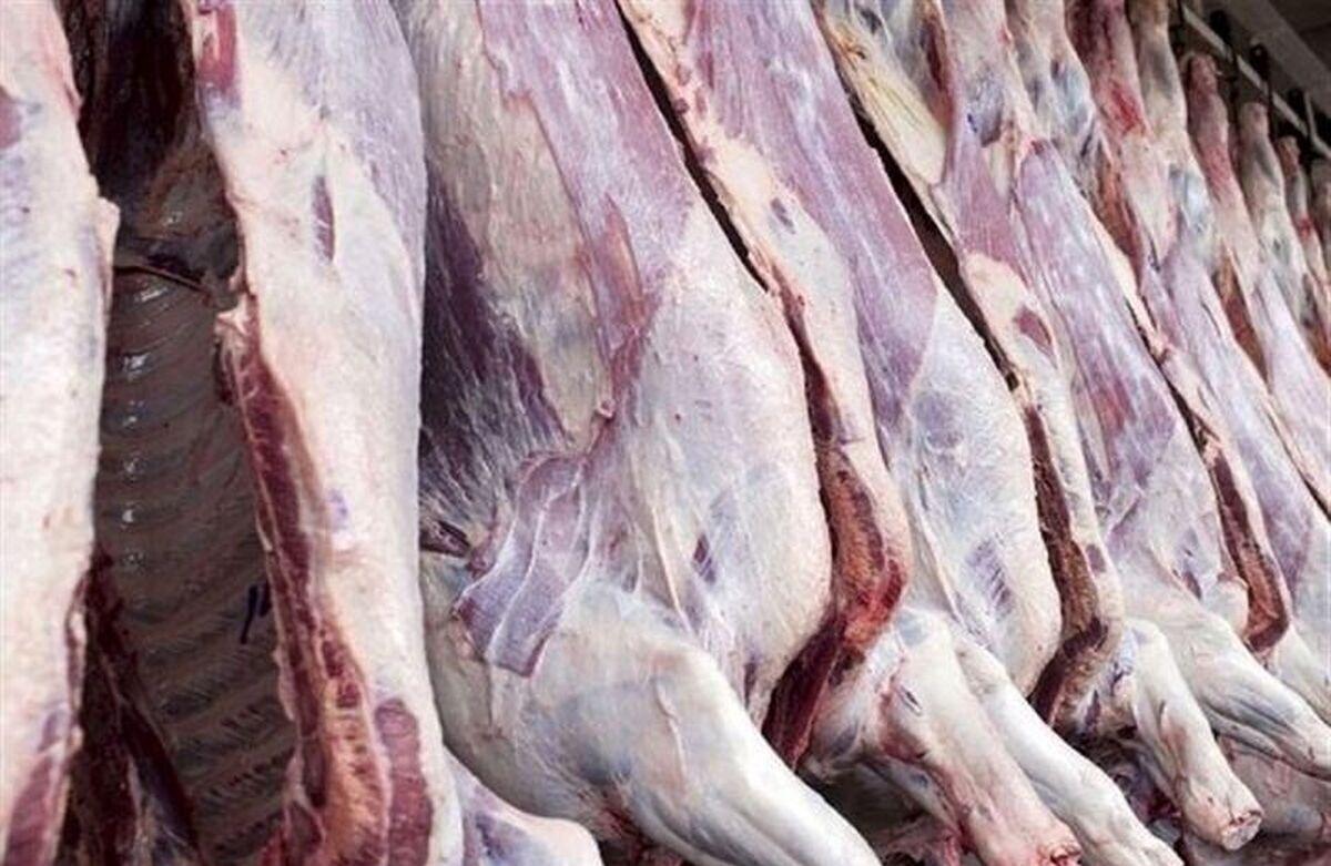 کشف 70 تن گوشت وارداتی فاسد در شهرری | ارزش ۲۸ میلیارد تومانی این کالاهای قاچاق کشف شده