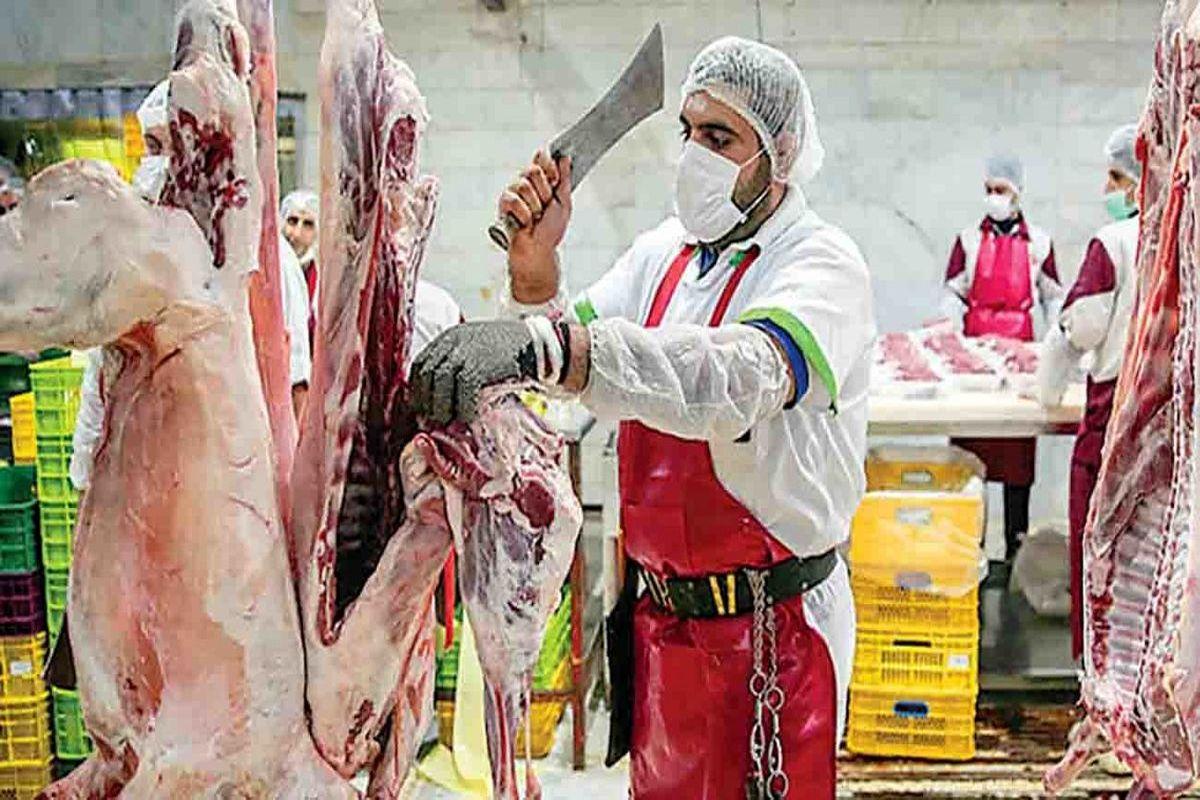 قیمت گوشت قرمز به زیر 300 هزار تومان سقوط کرد | قیمت شقه گوسفندی چند؟
