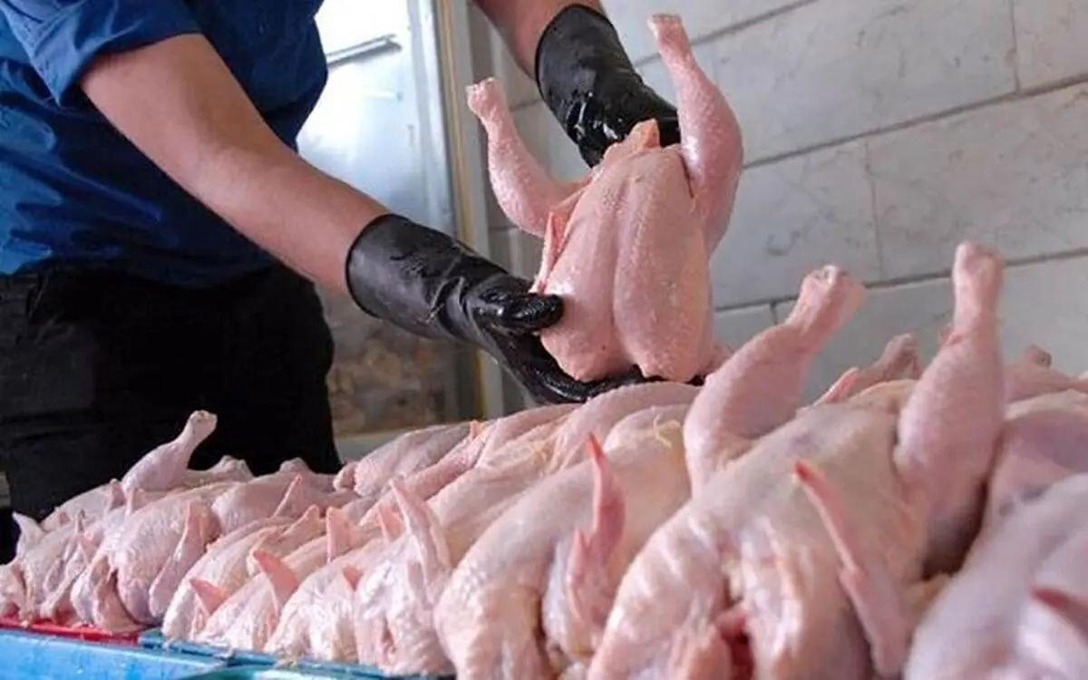 قیمت مرغ ارزان شد | تازه ترین قیمت گوشت مرغ در میادین و بازار