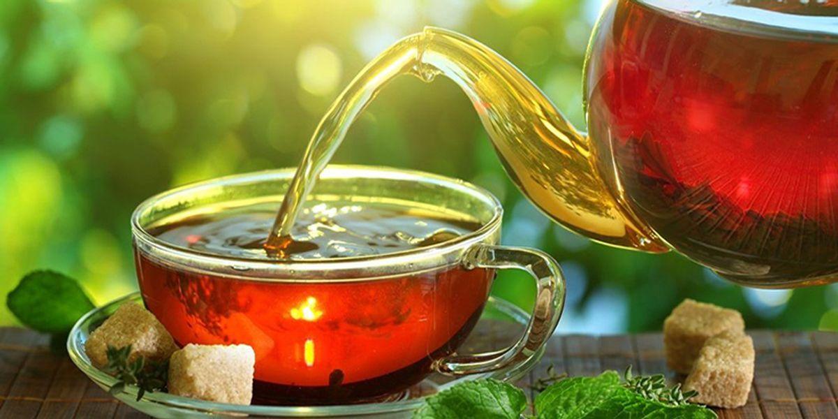 مراحل دم کردن چای به روش اصولی | چای رو این بار متفاوت تر از همیشه دم کن