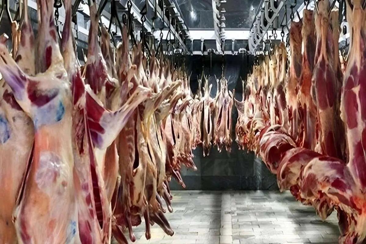 قیمت گوشت قرمز امروز چهارشنبه 6 تیر 1403 | گوشت خورشتی گوسفندی 655 هزار تومان شد