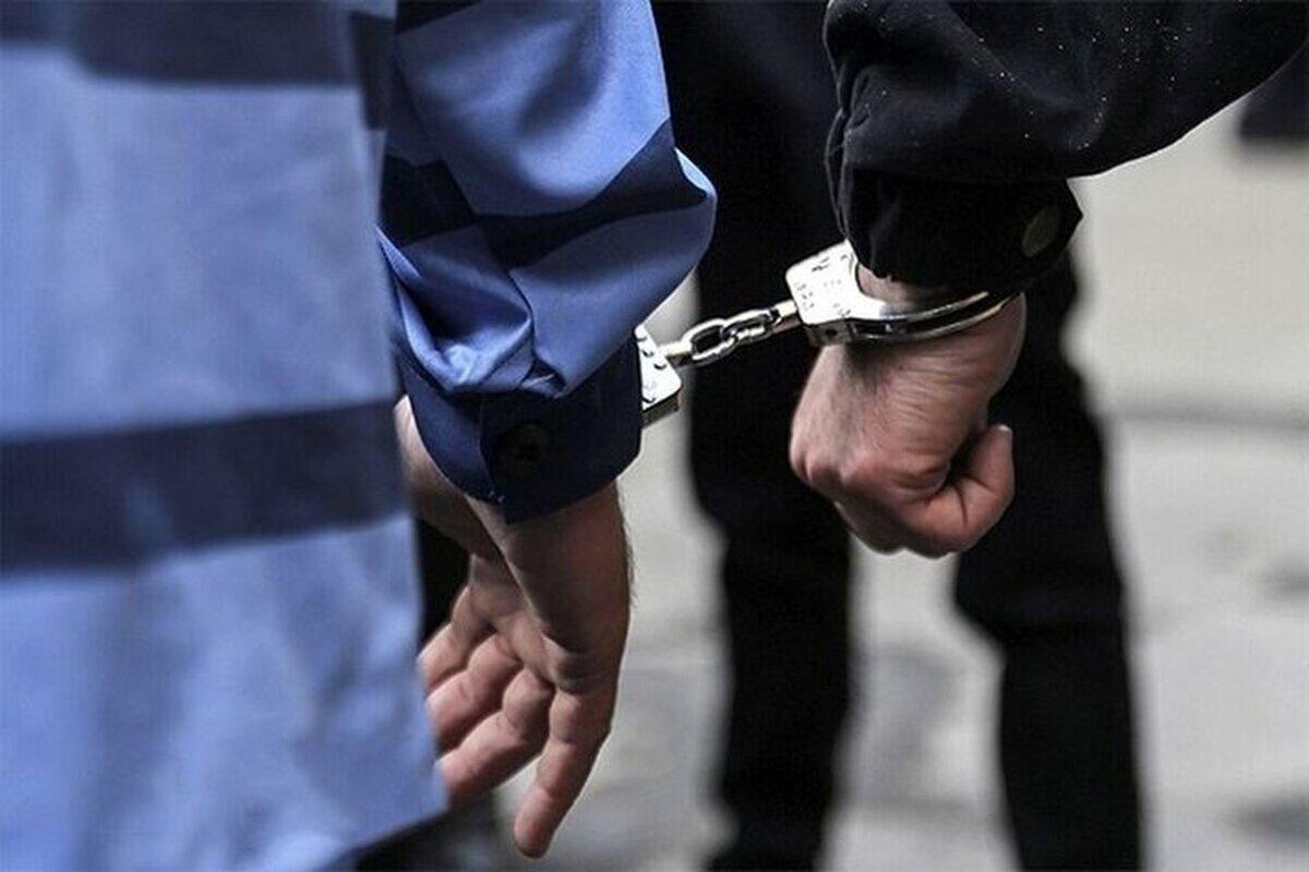 دستگیری زوج جیب‎بر و کیف‎زن در خواب سحرگاهی| پلیس خواب زوج کیف زن را آشفته کرد!